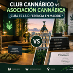 Club Cannábico vs Asociación Cannábica: ¿Cuál es la Diferencia en Madrid?