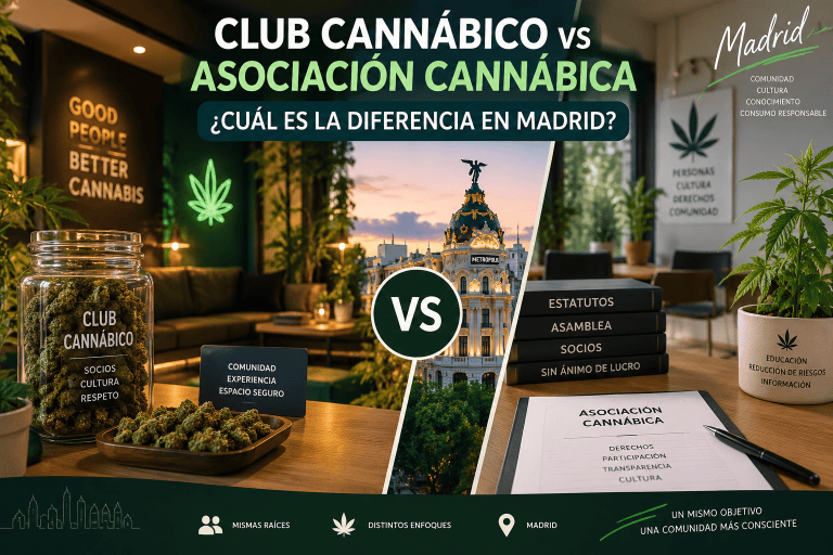 Lee más sobre el artículo Club Cannábico vs Asociación Cannábica: ¿Cuál es la Diferencia en Madrid?