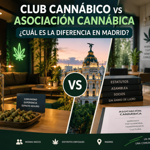 Club Cannábico vs Asociación Cannábica: ¿Cuál es la Diferencia en Madrid?